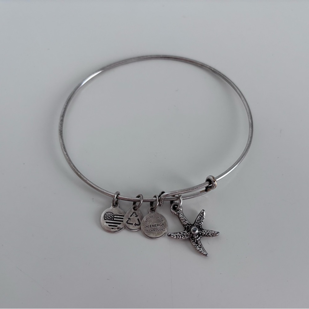 Alex and Ani Silver Charm Bracelet